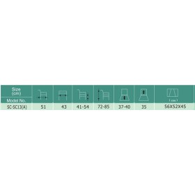 Κάθισμα μπάνιου με πλάτη και χειρολαβές, SC-SC13(A) - 