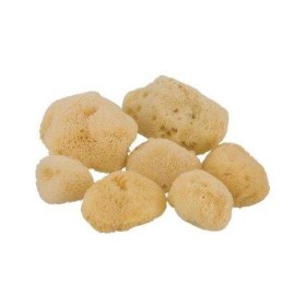 Σφουγγάρι φυσικό θαλάσσης 